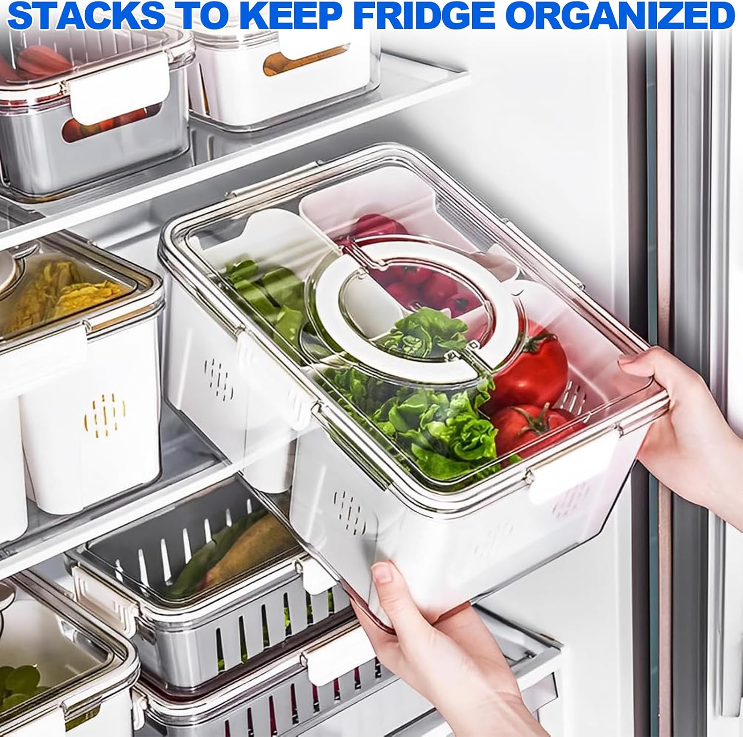 Fruit Storage Container for Fridge - Diqqawi Plates