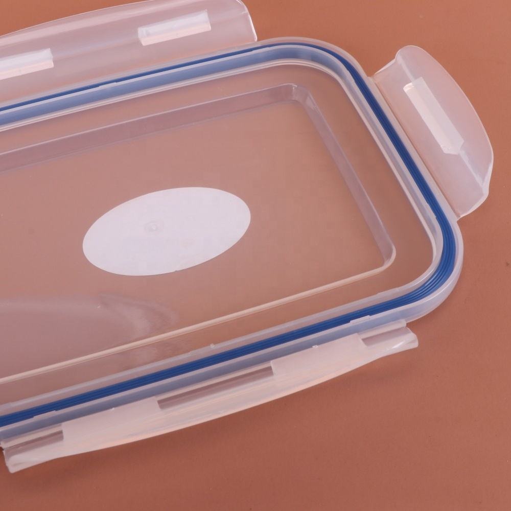 Clear Food Storage Box – Airtight & Durable Container - Diqqawi Plates