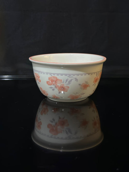 Colored Porcelain Bowls (Styl-23) - Diqqawi Plates