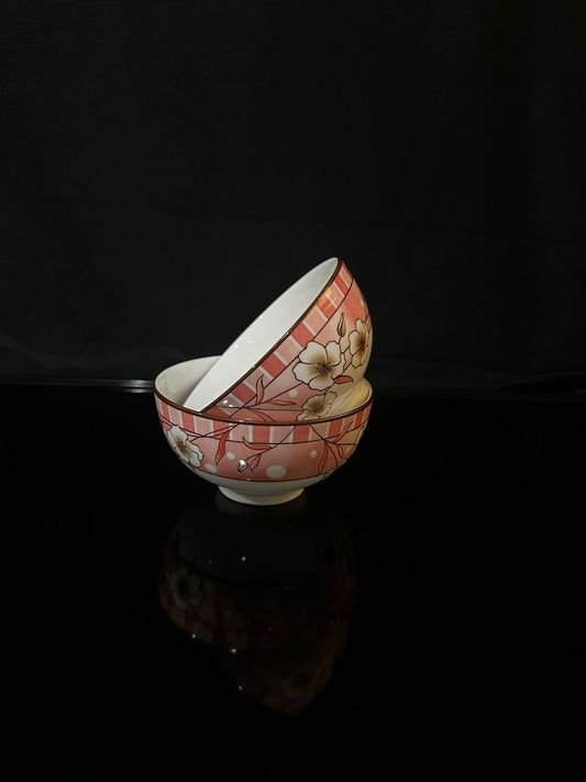 Colored Porcelain Bowls (Styl-26) - Diqqawi Plates