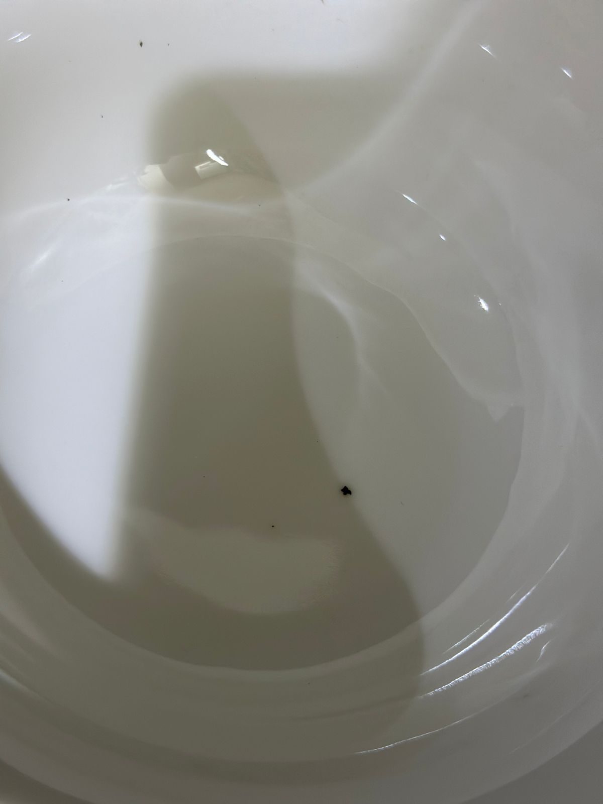 Medium Dish Bowl for soup styl17 - Diqqawi Plates