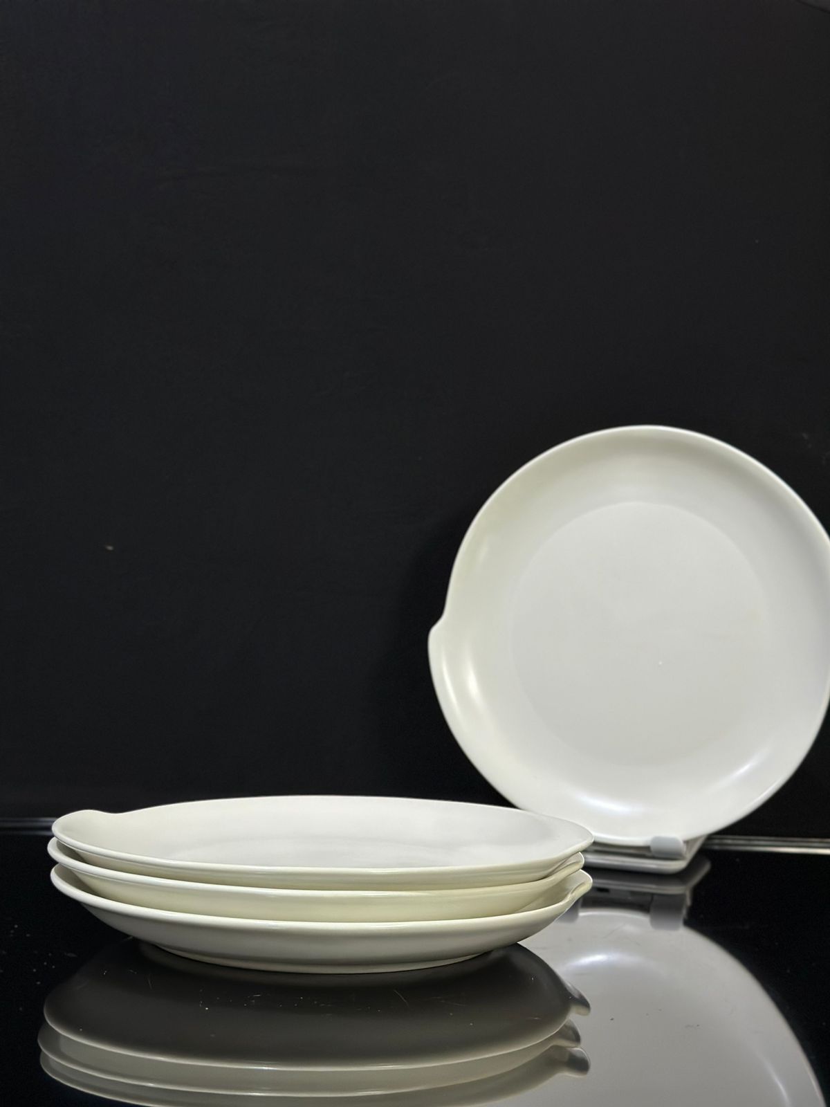 Matte Color Stylish Dining plate - Diqqawi Plates