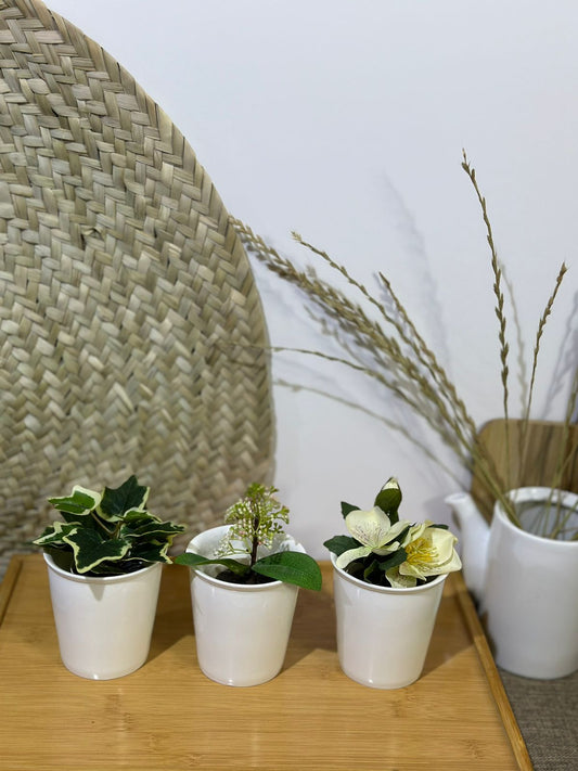 Medium porcelain vase for multiple purpose - Diqqawi Plates