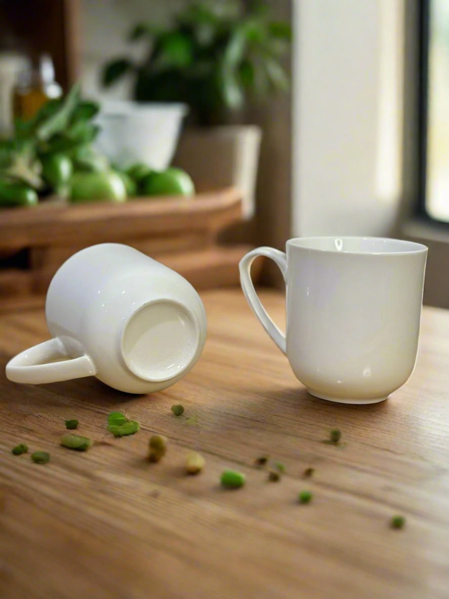 Elegant White Porcelain Coffee Mug styl-33 - Diqqawi Plates
