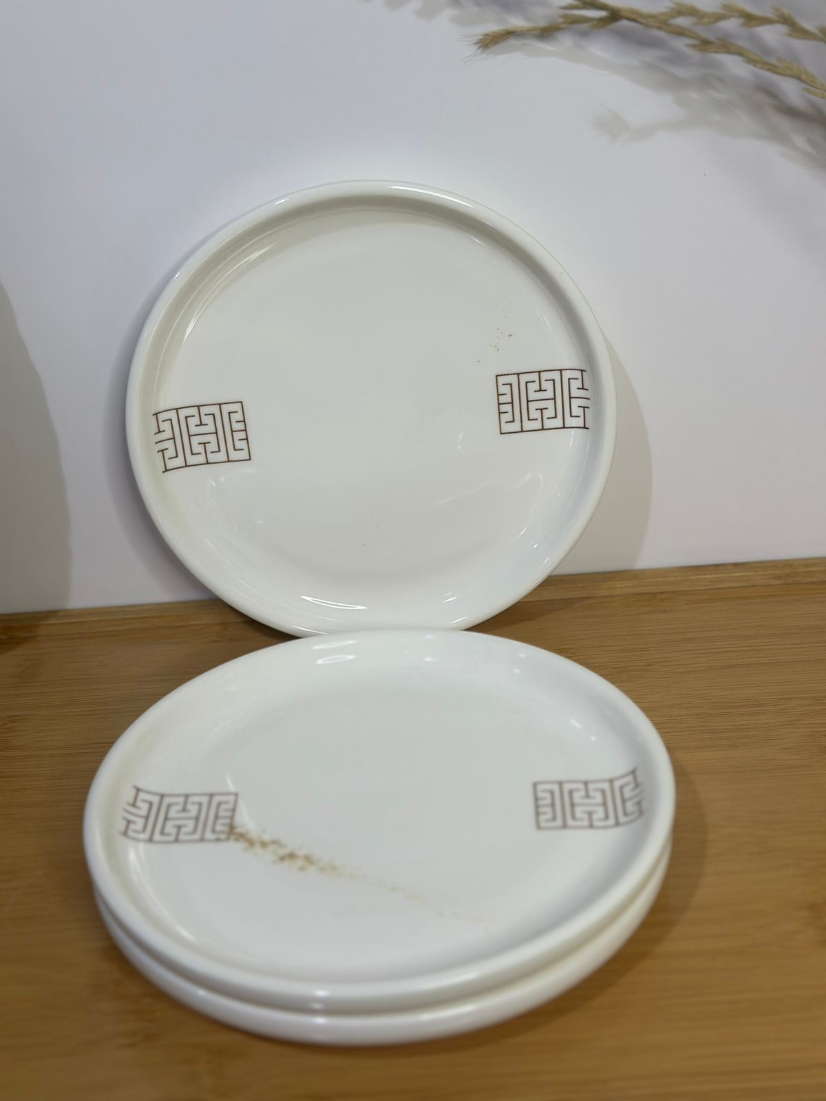 Premium Porcelain Plates – Set of 3 with Minor Defects (Read Description)styl3 - Diqqawi Plates
