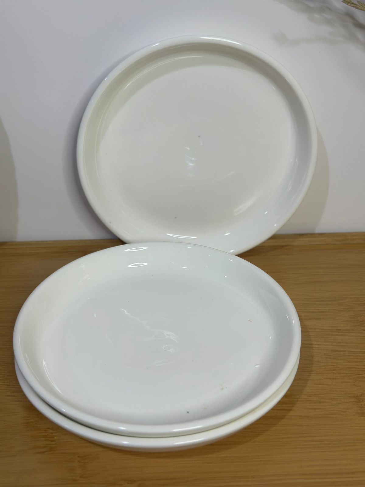 Premium Porcelain Plates – Set of 3 with Minor Defects (Read Description)styl4 - Diqqawi Plates