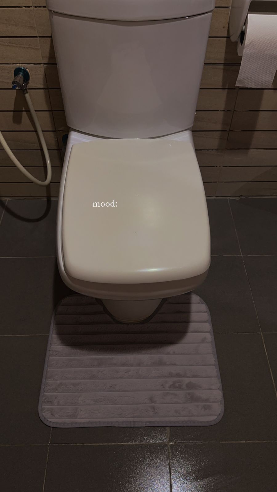 Non Slip soft Fur mat for Bathrom set of 2 - Diqqawi Plates