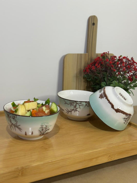 Colored Porcelain Bowls (Styl-55) - Diqqawi Plates