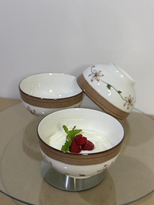 Colored Porcelain Bowls (Styl-72) - Diqqawi Plates