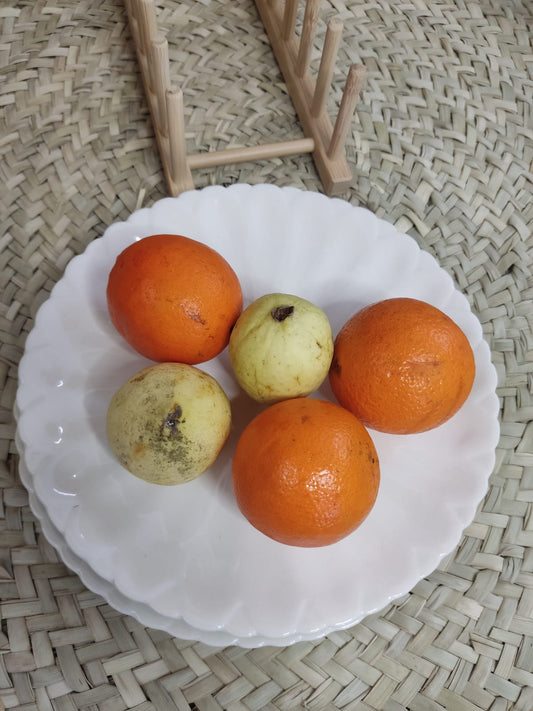 Luxury large Serving & dinning plate 25cm - Diqqawi Plates