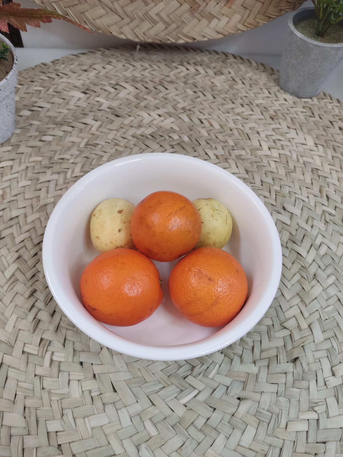 Large Porcelain Bowl for Serving Salad styl12 - Diqqawi Plates