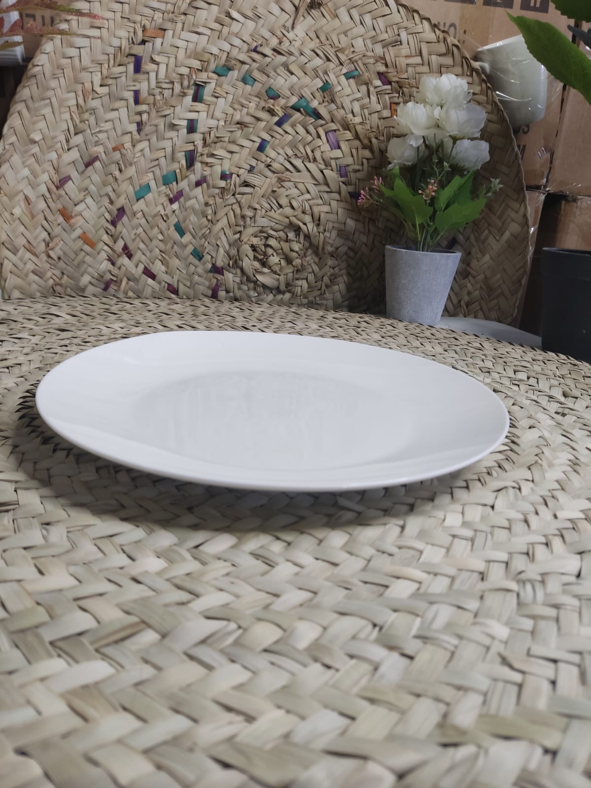 Luxury Large white Porcelain dinning plate 10.5inch - Diqqawi Plates