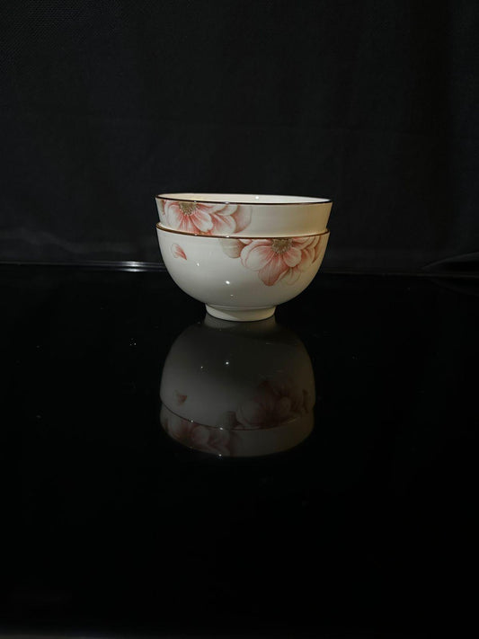 Colored Porcelain Bowls (Styl-16) - Diqqawi Plates