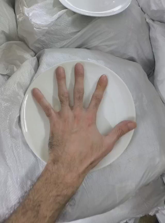 Luxury medium white Porcelain dinning plate