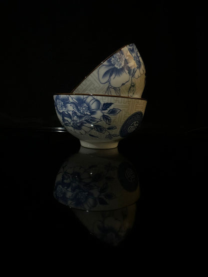 Colored Porcelain Bowls (Styl-20) - Diqqawi Plates