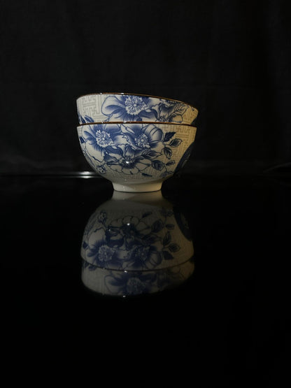 Colored Porcelain Bowls (Styl-20) - Diqqawi Plates
