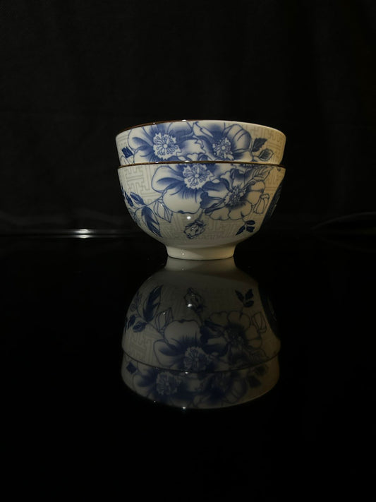 Colored Porcelain Bowls (Styl-20) - Diqqawi Plates