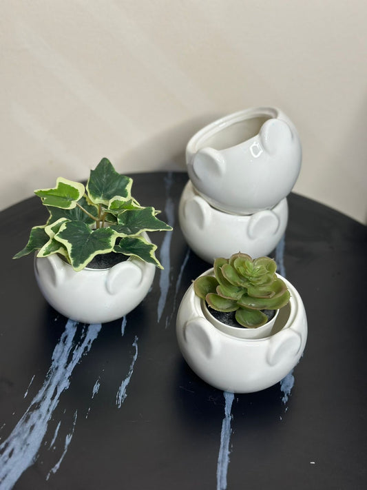 Simple cute bowl / Pot Container - Diqqawi Plates