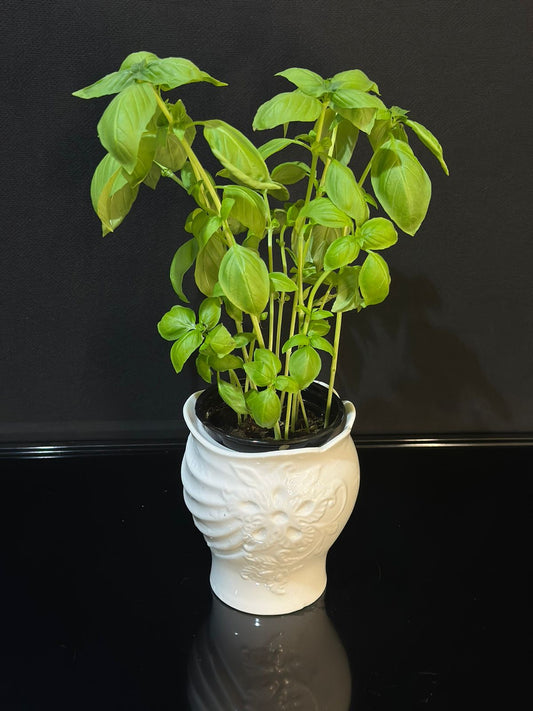 flower vase porcelain styl10 - Diqqawi Plates