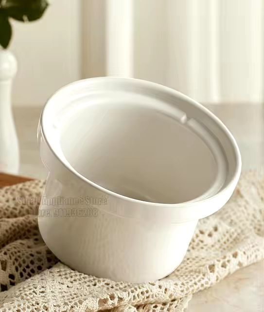 Large pot container with Lid & 4 bowls - Diqqawi Plates