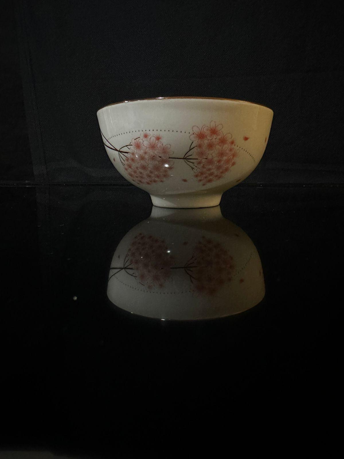 Colored Porcelain Bowls (Styl-5) - Diqqawi Plates