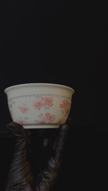 Colored Porcelain Bowls (Styl-23)
